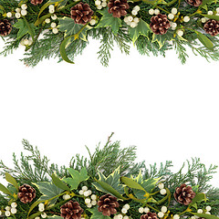 Image showing Christmas Greenery Border