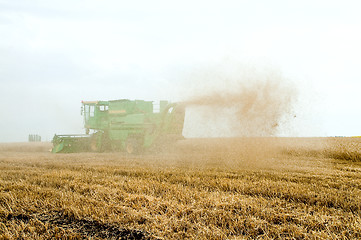 Image showing Harvest time