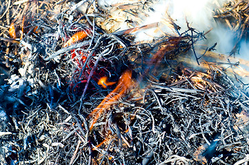 Image showing smoke on a dry heap