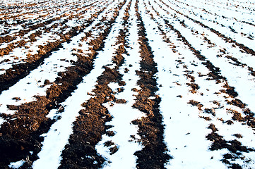 Image showing white and black rows of field