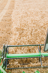 Image showing Harvesting time