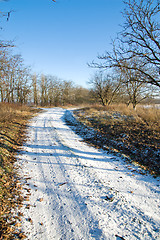 Image showing winter road through the wood