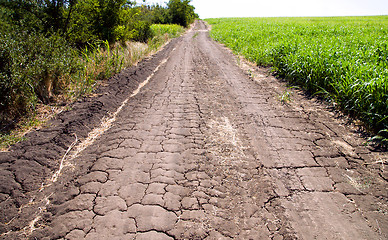 Image showing a rural cracked road goes up between the field and forest