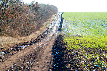 Image showing rural road between fild and wood