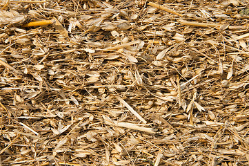 Image showing gold color straw closeup as good texture