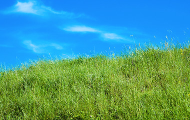 Image showing deep blue sky and green grass