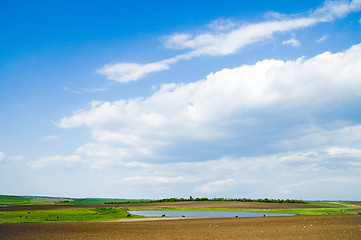 Image showing Landscape green filed the blue sky and white clouds