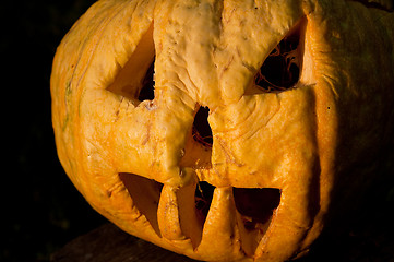 Image showing Halloween pumpkin in evening