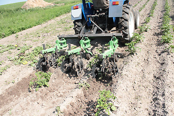 Image showing equipment on a tractor for weed in agriculture