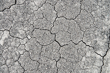 Image showing dried-up earth with cracks