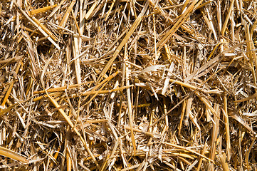 Image showing view to straw closeup as background