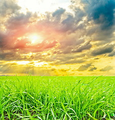 Image showing sunset over green field