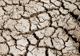 Image showing desert rough land dry crack erosion
