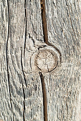 Image showing twig on textured surface of board