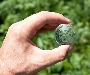 Image showing world in hand over green