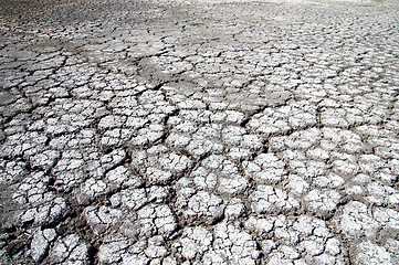 Image showing dry cracked earth