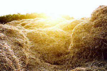 Image showing stack of straw