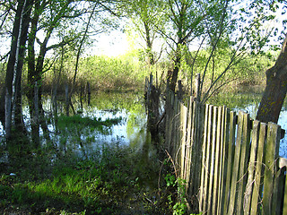 Image showing flood on the river in the spring