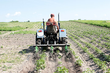 Image showing special equipment on a tractor for weed