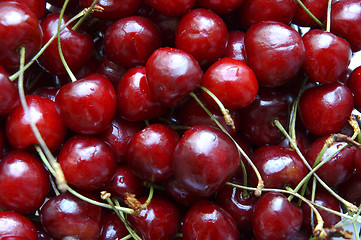 Image showing sweet cherry