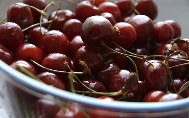 Image showing sweet cherry