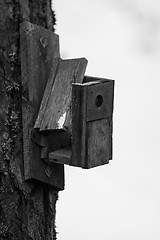 Image showing Ruins of a bird house