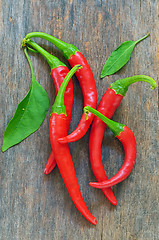 Image showing Red chili peppers 