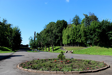 Image showing Beautiful park with green trees and path