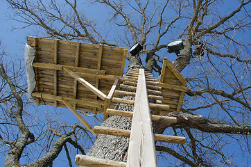 Image showing wood ladder nailed old tree trunk playground site 