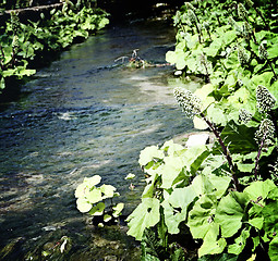 Image showing Rock bridge