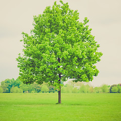 Image showing Vintage look Urban Park