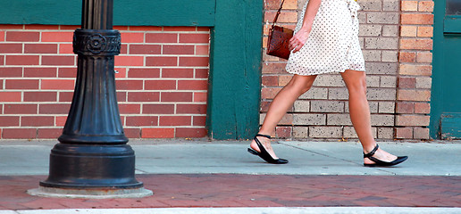 Image showing European female shopper.