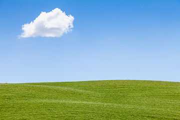 Image showing Green field in Tuscany