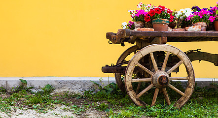 Image showing Tuscany flowers