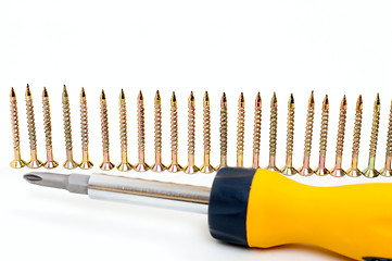 Image showing cruciform screwdriver and row of screw