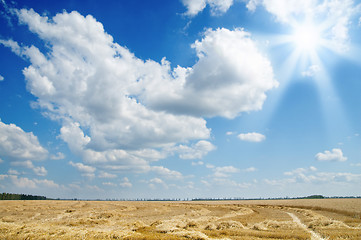 Image showing ears of ripe wheat with sun