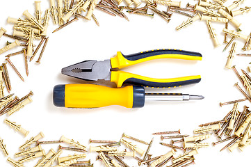 Image showing cruciform screwdriver and pliers in screw frame
