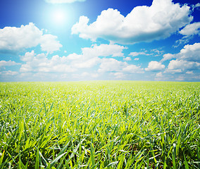 Image showing green and blue color nature field with sun