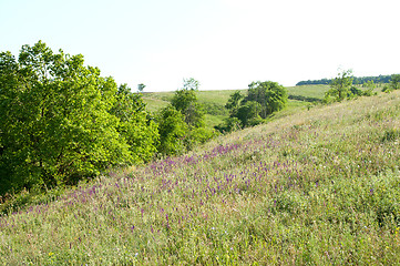 Image showing magic hill in nature