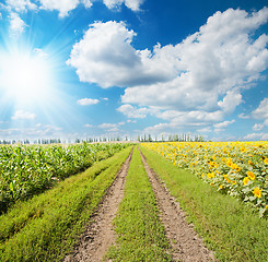 Image showing sun and clouds over rural road