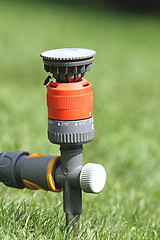 Image showing sprinkler in the garden