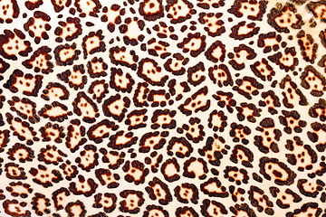 Image showing texture of leopard pelt