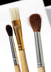 Image showing Three Brushes