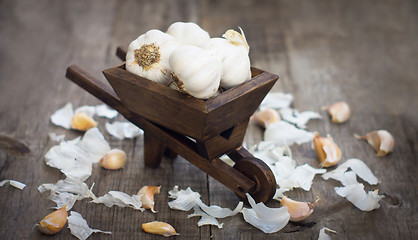 Image showing Garlic Cloves in a miniature wheelbarrow