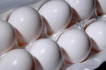 Image showing eggs