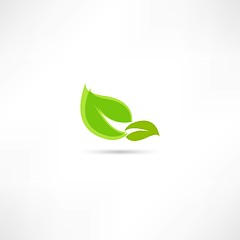 Image showing eco icon