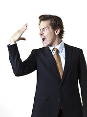 Image showing Businessman talking to the hand