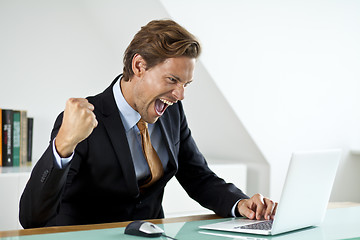 Image showing A businessman celebrating a deal