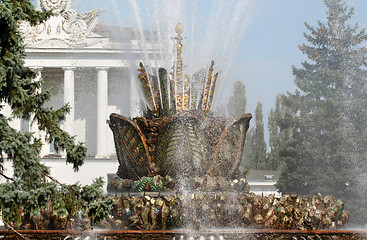 Image showing Fountain Stone Flower