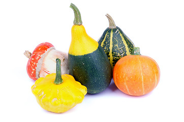 Image showing Squash and Pumpkin